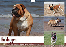 Kalender Bulldoggen - Englische und Französische Bulldoggen (Wandkalender 2023 DIN A4 quer) von Chawera