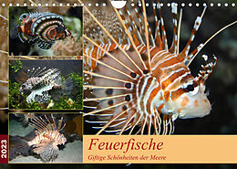 Kalender Feuerfische - Giftige Schönheiten der Meere (Wandkalender 2023 DIN A4 quer) von B. Mielewczyk