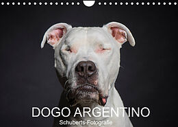 Kalender DOGO ARGENTINO (Wandkalender 2023 DIN A4 quer) von Schuberts-Fotografie