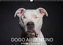 Kalender DOGO ARGENTINO (Wandkalender 2023 DIN A3 quer) von Schuberts-Fotografie