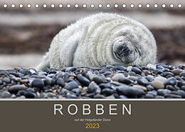 Kalender Robben auf der Helgoländer Düne (Tischkalender 2023 DIN A5 quer) von Heidi Spiegler