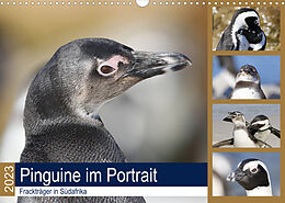 Kalender Pinguine im Portrait - Frackträger in Südafrika (Wandkalender 2023 DIN A3 quer) von Michael und Yvonne Herzog