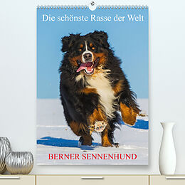 Kalender Die schönste Rasse der Welt - Berner Sennenhund (Premium, hochwertiger DIN A2 Wandkalender 2023, Kunstdruck in Hochglanz) von Sigrid Starick