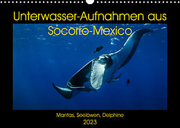 Kalender Unterwasser-Aufnahmen aus Socorro-Mexico (Wandkalender 2023 DIN A3 quer) von Sascha Caballero
