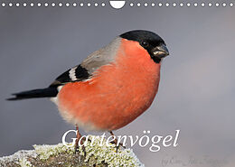 Kalender Vögel aus dem Garten (Wandkalender 2023 DIN A4 quer) von Em-Jott Fotografie