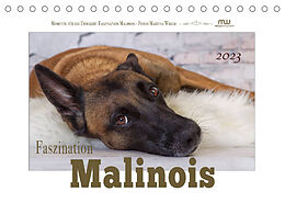 Kalender Faszination Malinois (Tischkalender 2023 DIN A5 quer) von Martina Wrede