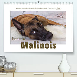 Kalender Faszination Malinois (Premium, hochwertiger DIN A2 Wandkalender 2023, Kunstdruck in Hochglanz) von Martina Wrede