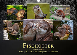 Kalender Fischotter - putzige Kerlchen und elegante Schwimmer (Wandkalender 2023 DIN A3 quer) von Peter Roder