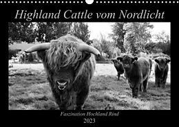Kalender Highland Cattle vom Nordlicht - Faszination Hochland Rind (Wandkalender 2023 DIN A3 quer) von Katharina Knab