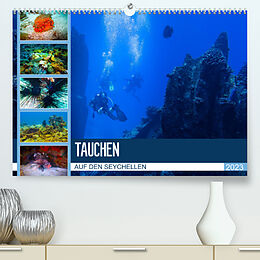 Kalender Tauchen auf den Sychellen (Premium, hochwertiger DIN A2 Wandkalender 2023, Kunstdruck in Hochglanz) von Dirk Meutzner