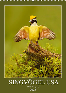 Kalender Singvögel USA (Wandkalender 2023 DIN A2 hoch) von BIA birdimagency