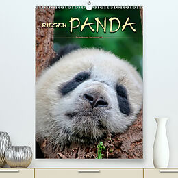 Kalender Riesenpanda (Premium, hochwertiger DIN A2 Wandkalender 2023, Kunstdruck in Hochglanz) von Peter Roder