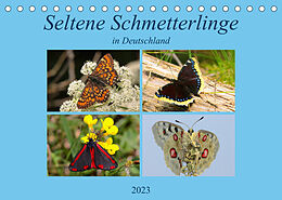 Kalender Seltene Schmetterlinge in Deutschland (Tischkalender 2023 DIN A5 quer) von Winfried Erlwein