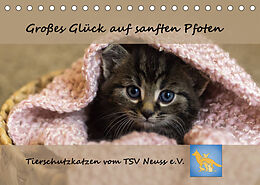 Kalender Tierschutzkatzen vom TSV-Neuss - Großes Glück auf sanften Pfoten (Tischkalender 2023 DIN A5 quer) von Jane B