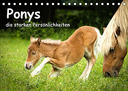 Kalender Ponys, die starken Persönlichkeiten (Tischkalender 2023 DIN A5 quer) von Berit Seiboth