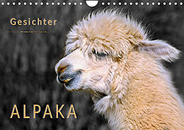 Kalender Alpaka Gesichter (Wandkalender 2023 DIN A4 quer) von Peter Roder
