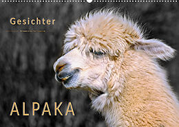 Kalender Alpaka Gesichter (Wandkalender 2023 DIN A2 quer) von Peter Roder