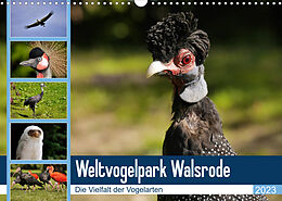 Kalender Weltvogelpark Walsrode - Die Vielfalt der Vogelarten (Wandkalender 2023 DIN A3 quer) von Frank Gayde Quelle: Weltvogelpark Walsrode