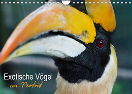 Kalender Exotische Vögel im Porträt (Wandkalender 2023 DIN A4 quer) von Christina Williger