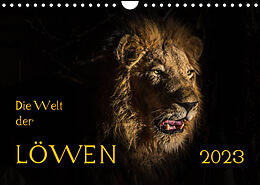 Kalender Die Welt der Löwen (Wandkalender 2023 DIN A4 quer) von Barbara Bethke