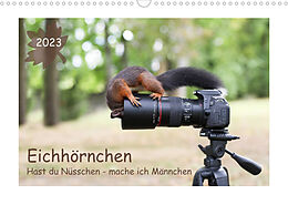 Kalender Eichhörnchen - Hast du Nüsschen mache ich Männchen (Wandkalender 2023 DIN A3 quer) von Birgit Cerny