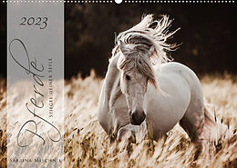 Kalender Pferde - Spiegel deiner Seele (Wandkalender 2023 DIN A2 quer) von Sabrina Mischnik