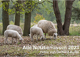 Kalender Alte Nutztierrassen 2023 (Wandkalender 2023 DIN A2 quer) von Gerhard Butke