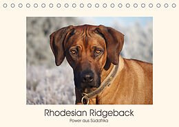 Kalender Rhodesian Ridgeback Power aus Südafrika (Tischkalender 2023 DIN A5 quer) von Birgit Bodsch