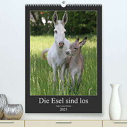 Kalender Die Esel sind los (Premium, hochwertiger DIN A2 Wandkalender 2023, Kunstdruck in Hochglanz) von Antje Lindert-Rottke