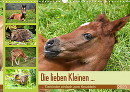 Kalender Die lieben Kleinen ... Tierkinder einfach zum Knuddeln (Wandkalender 2023 DIN A3 quer) von GUGIGEI
