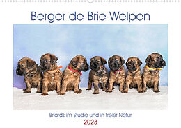 Kalender Berger de Brie - Welpen (Wandkalender 2023 DIN A2 quer) von Sonja Tessen