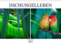 Kalender Dschungelleben - Tierportraits (Wandkalender 2023 DIN A3 quer) von Liselotte Brunner-Klaus