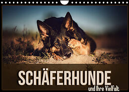 Kalender Schäferhunde und Ihre Vielfalt (Wandkalender 2023 DIN A4 quer) von Sabrina Wobith Photography