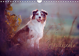 Kalender Hundeseele (Wandkalender 2023 DIN A4 quer) von Katrin Buttkau