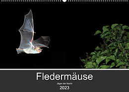 Kalender Fledermäuse - Jäger der Nacht (Wandkalender 2023 DIN A2 quer) von Otto Schäfer
