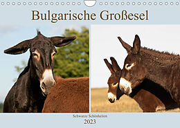 Kalender Bulgarische Großesel - Schwarze Schönheiten (Wandkalender 2023 DIN A4 quer) von Meike Bölts