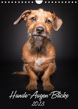 Kalender Hunde-Augen-Blicke (Wandkalender 2023 DIN A4 hoch) von Silke Gareis
