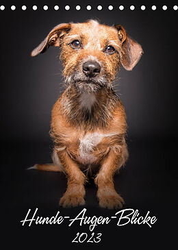Kalender Hunde-Augen-Blicke (Tischkalender 2023 DIN A5 hoch) von Silke Gareis