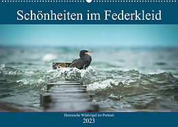 Kalender Schönheiten im Federkleid - Heimische Wildvögel im Portrait (Wandkalender 2023 DIN A2 quer) von Sabine Grahneis