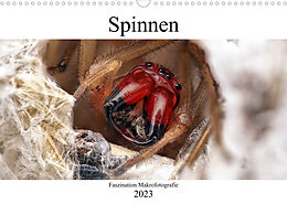 Kalender Faszination Makrofotografie: Spinnen (Wandkalender 2023 DIN A3 quer) von Alexander Mett Photography