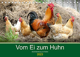 Kalender Vom Ei zum Huhn. Die Entwicklung von Küken (Tischkalender 2023 DIN A5 quer) von Rose Hurley