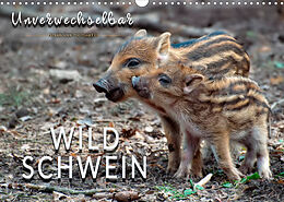 Kalender Unverwechselbar - Wildschwein (Wandkalender 2023 DIN A3 quer) von Peter Roder