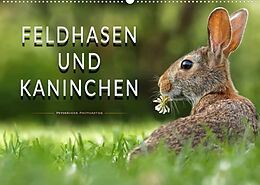 Kalender Feldhasen und Kaninchen (Wandkalender 2023 DIN A2 quer) von Peter Roder