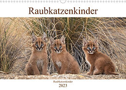 Kalender Raubkatzenkinder (Wandkalender 2023 DIN A3 quer) von Marion Vollborn