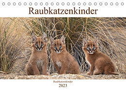 Kalender Raubkatzenkinder (Tischkalender 2023 DIN A5 quer) von Marion Vollborn