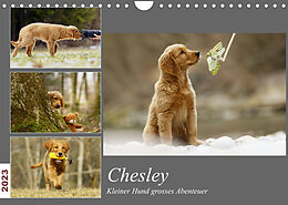 Kalender Chesley Kleiner Hund Grosses AbenteuerCH-Version (Wandkalender 2023 DIN A4 quer) von Hundfotografin Bea Müller