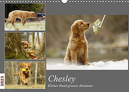 Kalender Chesley Kleiner Hund Grosses AbenteuerCH-Version (Wandkalender 2023 DIN A3 quer) von Hundfotografin Bea Müller