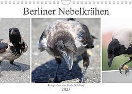 Kalender Berliner Nebelkrähen (Wandkalender 2023 DIN A4 quer) von Linda Schilling