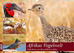 Kalender Afrikas Vogelwelt 2023 (Wandkalender 2023 DIN A3 quer) von Wibke Woyke
