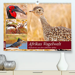Kalender Afrikas Vogelwelt 2023 (Premium, hochwertiger DIN A2 Wandkalender 2023, Kunstdruck in Hochglanz) von Wibke Woyke